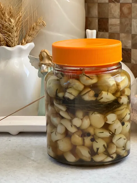 تصویر 4 از قیمت سیر شور خانگی  با کیفیت ارزان + خرید عمده